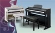 Elektrinis pianinas MAXSETBL-88 kaina ir informacija | Klavišiniai muzikos instrumentai | pigu.lt