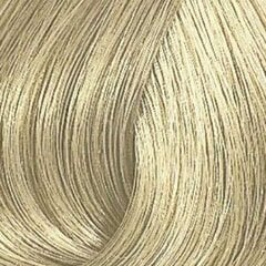 Plaukų dažai Kadus Extra Rich Creme Permanent 10.1, 60ml kaina ir informacija | Plaukų dažai | pigu.lt