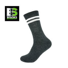 Спортивные носки Bisoks 11022 d.grey/2 stripes white/light grey цена и информация | Мужские носки | pigu.lt