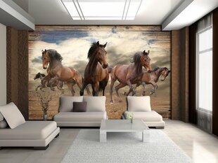 Consalnet Фотообои флизелиновые Horses 416 x 254 cm 10083VEXXXL цена и информация | Фотообои с инструментом и клеем - Бежевые листья эвкалипта, 400x280 см | pigu.lt