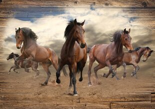 Consalnet Фотообои флизелиновые Horses 416 x 254 cm 10083VEXXXL цена и информация | Фотообои с инструментом и клеем - Бежевые листья эвкалипта, 400x280 см | pigu.lt