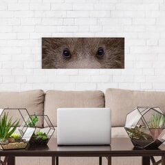 Настенный печатный холст Глаза черного медведя Декор интерьера - 78 х 30 см цена и информация | Репродукции, картины | pigu.lt