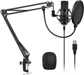 Yotto Professional USB -конденсатор микрофон комплект 192 кГц / 24bit PC Microphone с микрофоном Microphone Pop защита для записей, радио цена и информация | Микрофоны | pigu.lt