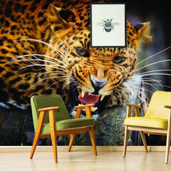 Фотообои с изображением дикого тигра Обои с животными Декор интерьера для детской комнаты - 390 х 280 см цена и информация | Интерьерные наклейки | pigu.lt