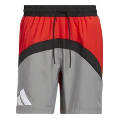 Шорты Adidas Galaxy Short HE2902/M, серые/красные цена и информация | Мужские шорты | pigu.lt