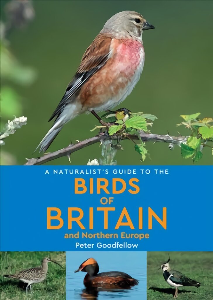 Naturalist's Guide to the Birds of Britain and Northern Europe 2nd edition 2nd Revised edition kaina ir informacija | Enciklopedijos ir žinynai | pigu.lt