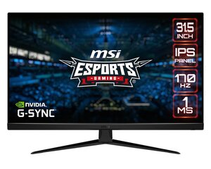 MSI G321Q kompiuterio monitorius 80 cm (31.5") 2560 x 1440 pikseliai Wide Quad HD Juoda цена и информация | Мониторы | pigu.lt