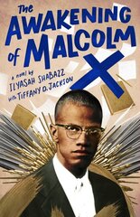Awakening of Malcolm X: A Novel цена и информация | Книги для подростков и молодежи | pigu.lt