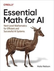 Essential math for al: next-level mathematics for efficient and successful al systems kaina ir informacija | Ekonomikos knygos | pigu.lt