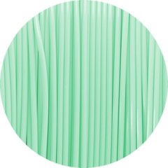 3D spausdinimo siūlas Fiberlogy Easy PLA 1.75mm 0.85kg Pastel Mint цена и информация | Смарттехника и аксессуары | pigu.lt