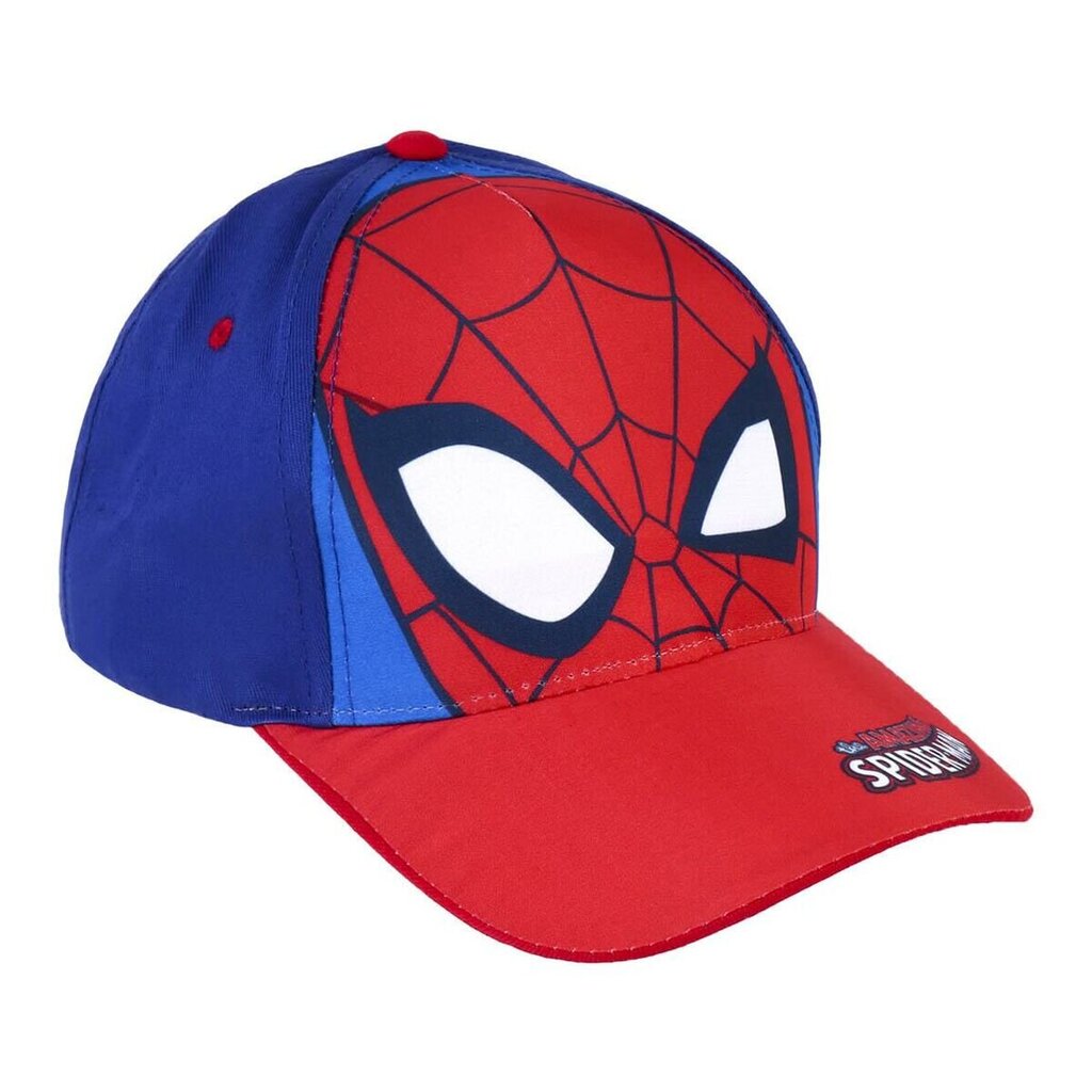 Kepurė berniukams Spiderman kaina ir informacija | Kepurės, pirštinės, šalikai berniukams | pigu.lt