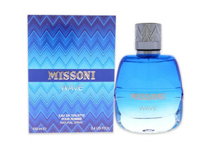 Tualetinis vanduo Missoni Wave, 30 ml kaina ir informacija | Kvepalai vyrams | pigu.lt