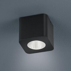 Светодиодный потолочный светильник helestra OSO / прожектор цена и информация | Потолочные светильники | pigu.lt