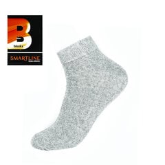 Мужские носки Bisoks 12164, светло-серые цена и информация | Мужские носки | pigu.lt