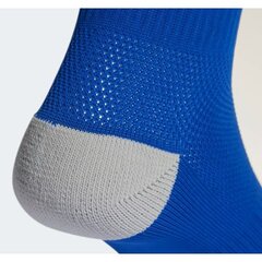 Kojinės vyrams Adidas, mėlynos kaina ir informacija | Futbolo apranga ir kitos prekės | pigu.lt