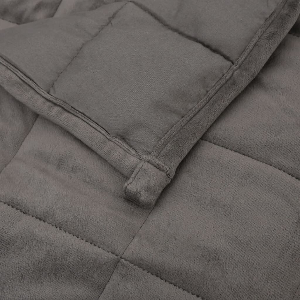VidaXL sunki antklodė, 138x200 cm kaina ir informacija | Antklodės | pigu.lt