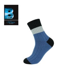 Мужские теплые носки Bisoks 12323 синие цена и информация | Мужские носки | pigu.lt