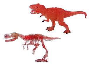 Archeologinių kasinėjimų rinkinys Tyrannosaurus Rex kaina ir informacija | Lavinamieji žaislai | pigu.lt