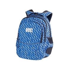 Backpack Easy 17-4 920751 цена и информация | Школьные рюкзаки, спортивные сумки | pigu.lt