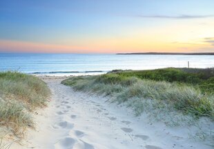 Consalnet Фотообои флизелиновые Beach 312 x 219 cm 14535VEXXL цена и информация | Фотообои | pigu.lt