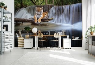 Consalnet Фотообои флизелиновые Jungle 416x254 cm 14565VEXXXL цена и информация | Фотообои | pigu.lt