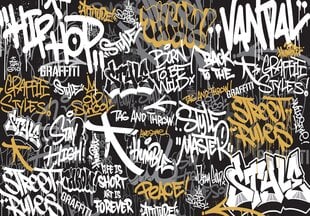 Consalnet Фотообои флизелиновые Graffiti 416x254 cm 14595VEXXXL цена и информация | Фотообои с инструментом и клеем - Бежевые листья эвкалипта, 400x280 см | pigu.lt