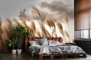 Consalnet Фотообои флизелиновые Pampas 416x254 cm 14597VEXXXL цена и информация | Фотообои | pigu.lt