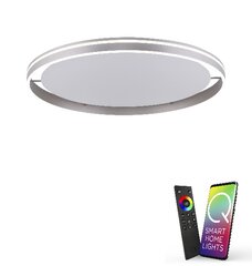 Lubinis šviestuvas Q-Vito цена и информация | Потолочные светильники | pigu.lt