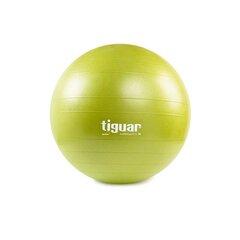 Gimnastikos kamuolys Tiguaro TI-SP0055O, 55 cm, žalias kaina ir informacija | Gimnastikos kamuoliai | pigu.lt