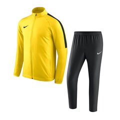 Nike sportinis kostiumas berniukams akademija 18 893805-719, geltonas kaina ir informacija | Komplektai berniukams | pigu.lt