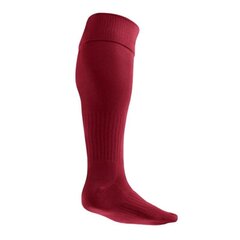 Nike kojinės moterims, raudonos kaina ir informacija | Moteriškos kojinės | pigu.lt