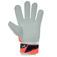 Vartininko pirštinės Puma Evo Power Grip 2 Aqua 41145, raudonos kaina ir informacija | Futbolo apranga ir kitos prekės | pigu.lt