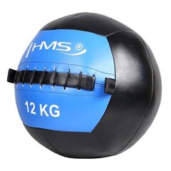 Svorinis treniruočių kamuolys HMS Wall Ball WLB, 12 kg kaina ir informacija | Svoriniai kamuoliai | pigu.lt