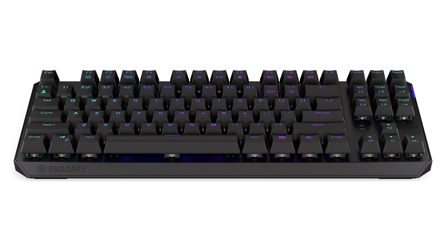 Endorfy Thock TKL RGB Kailh Red Switch kaina ir informacija | Klaviatūros | pigu.lt