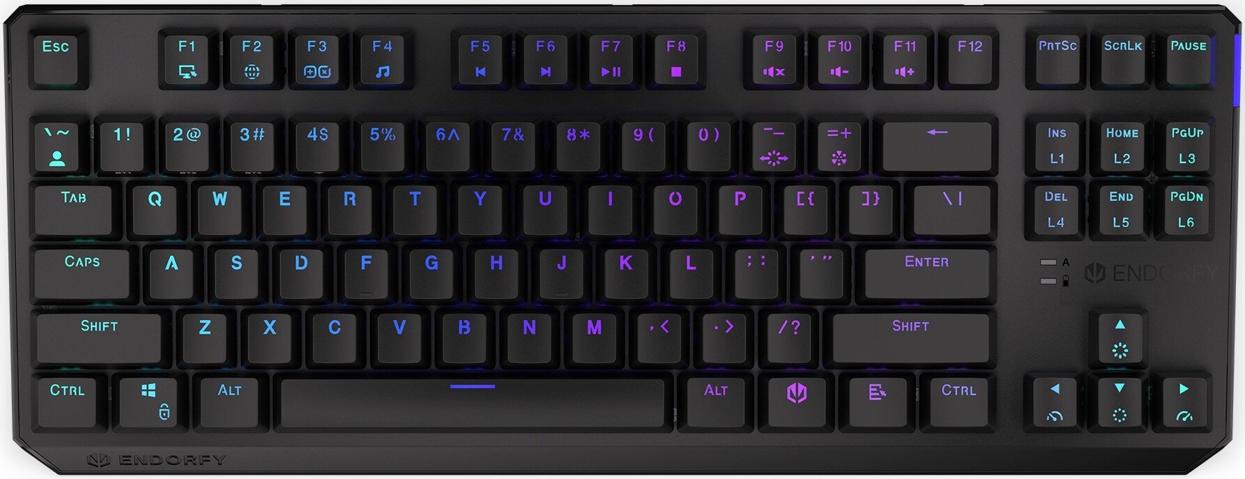 Endorfy Thock TKL RGB Kailh Red Switch цена и информация | Klaviatūros | pigu.lt