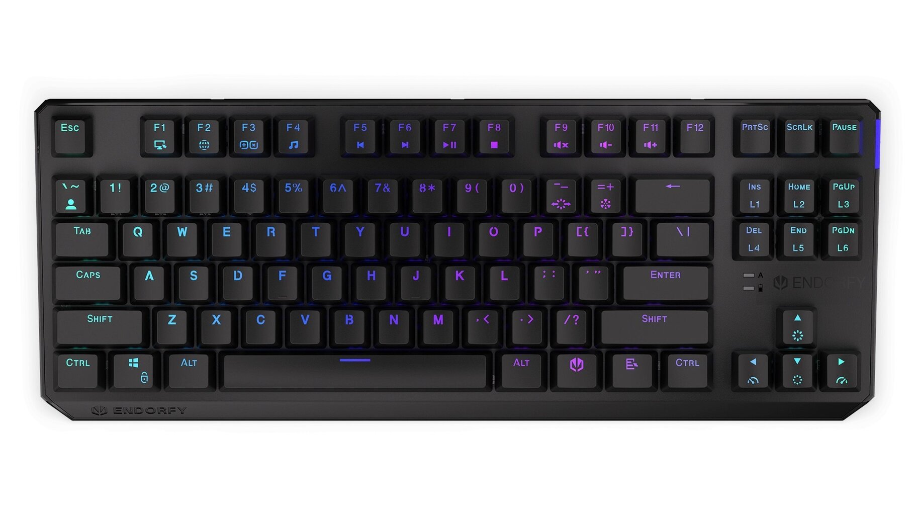 Endorfy Thock TKL RGB Kailh Red Switch цена и информация | Klaviatūros | pigu.lt