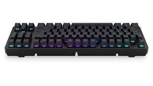 Endorfy Thock TKL беспроводной механическая клавиатура с подсветкой RGB (US, Kailh Box Black Switch) цена и информация | Клавиатуры | pigu.lt