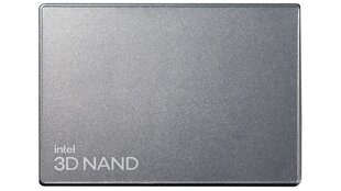 Soligdim D7-P5520, 1.92TB цена и информация | Внутренние жёсткие диски (HDD, SSD, Hybrid) | pigu.lt