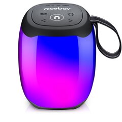 Niceboy RAZE Neon Bluetooth Беспроводная колонка / IPX6 / MP3 / Micro SD / USB цена и информация | Аудиоколонки | pigu.lt