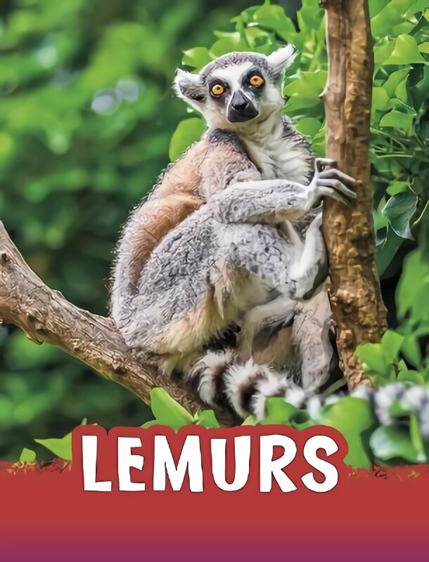 Lemurs цена и информация | Enciklopedijos ir žinynai | pigu.lt