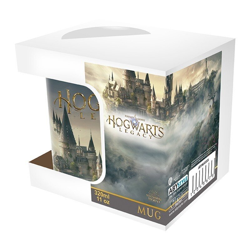 Harry Potter Hogwarts Legacy, 320ml kaina ir informacija | Žaidėjų atributika | pigu.lt