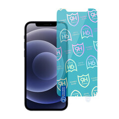 Apsauginis stiklas Best Flexible Hybrid skirtas iPhone 11 / XR цена и информация | Защитные пленки для телефонов | pigu.lt