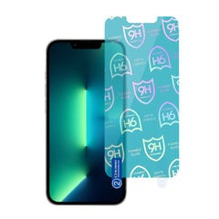 Apsauginis stiklas Best Flexible Hybrid skirtas iPhone 13 Pro Max / 14 Plus kaina ir informacija | Apsauginės plėvelės telefonams | pigu.lt