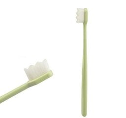 Nano dantų šepetėlis su dėklu, žalios spalvos kaina ir informacija | Dantų šepetėliai, pastos | pigu.lt
