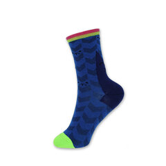 Женские носки Favorite 22129 голубые цена и информация | Женские носки | pigu.lt
