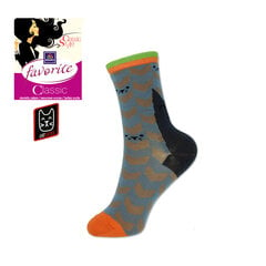 Kojinės moterims Favorite 22129, pilkos kaina ir informacija | Moteriškos kojinės | pigu.lt