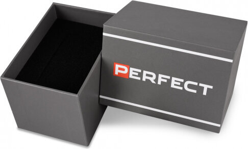 Laikrodis vyrams Perfect CH05M kaina ir informacija | Vyriški laikrodžiai | pigu.lt