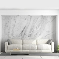 Фотообои с мраморным изображением Обои с эффектом серого мрамора Декор интерьера  - 390 х 280 см цена и информация | Интерьерные наклейки | pigu.lt