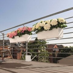 Вазон Lechuza Balconera Color 80, 19 см цена и информация | Ящики для рассады | pigu.lt