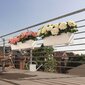 Lechuza vazonas Balconera Color 80, 19 cm цена и информация | Loveliai | pigu.lt